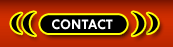 Transsexual Phone Sex Contact Boston