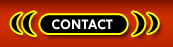 Transsexuals Phone Sex Contact Boston